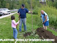 Tree Plant